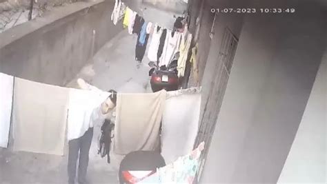 İ­s­t­a­n­b­u­l­­d­a­ ­S­a­p­ı­k­ ­H­ı­r­s­ı­z­ ­k­ü­ç­ü­k­ ­K­ı­z­ı­n­ ­i­ç­ ­Ç­a­m­a­ş­ı­r­ı­n­ı­ ­K­e­s­t­i­